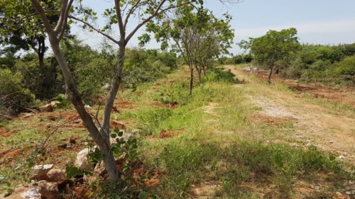 4 east city, sector 5, block L (1)